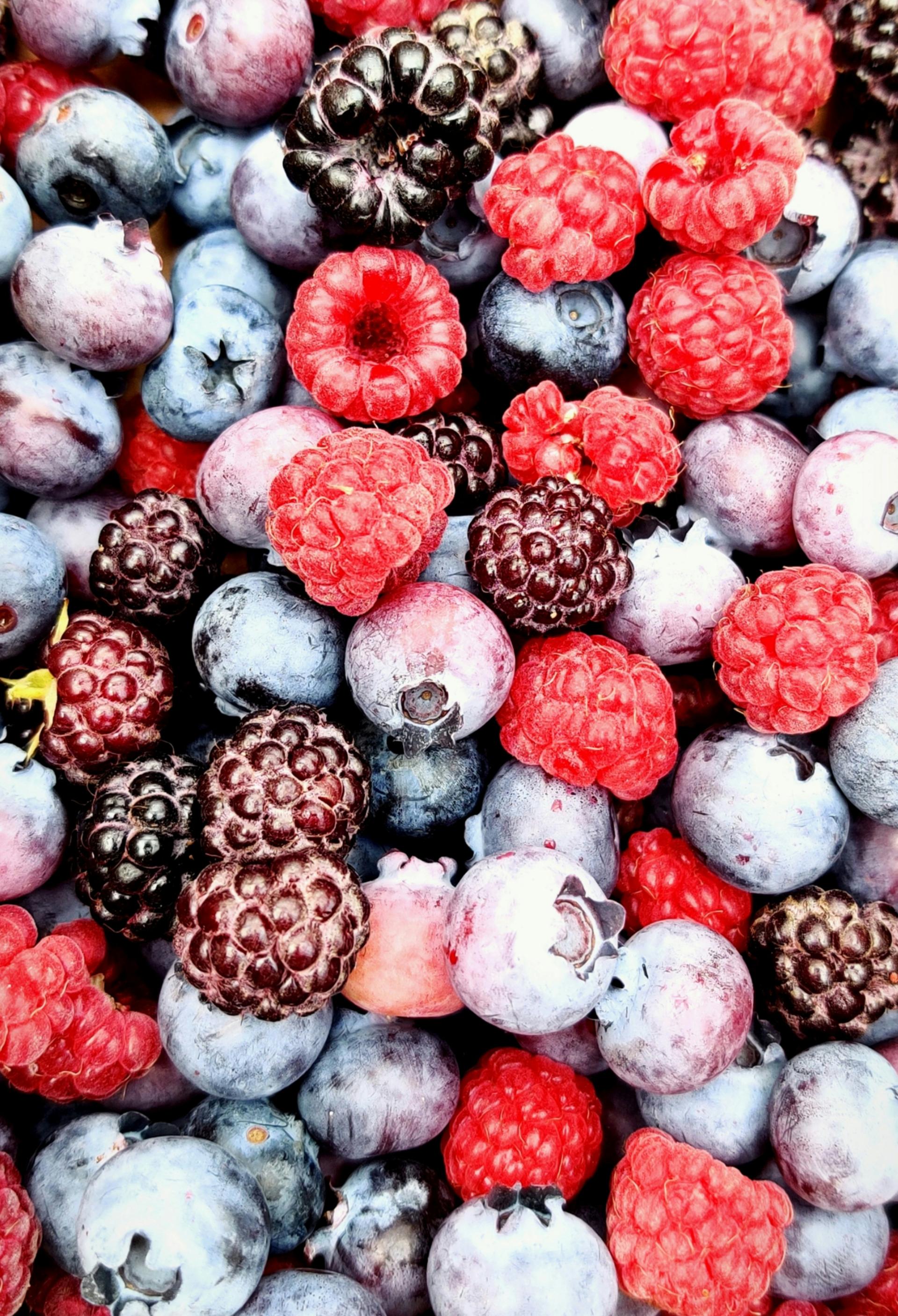 Seedless Black Raisins